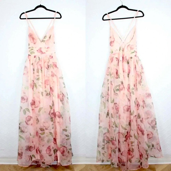 NWOT Lulus Romance That Wows Blush Floral Print Organza Maxi Dress - Picture 4 of 6